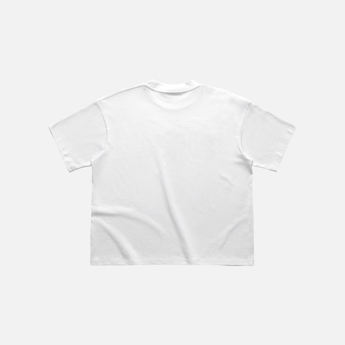 BAD HABITS - NO RULE BOXY TSHIRT